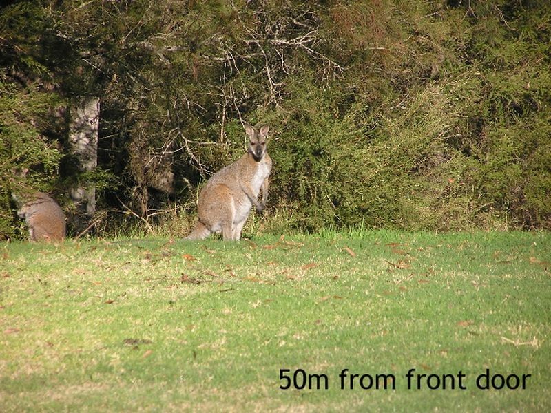 114 Pollwombra Road, Moruya NSW 2537