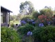 49 Arinya Pl Lot 18 of Proposed Subdivision, Bingie NSW 2537