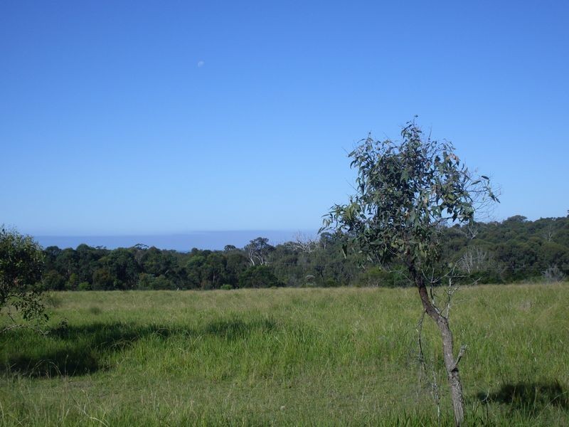 Lot 20 Arinya Place Bingie, Moruya NSW 2537