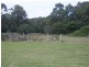 125 The Anchorage, Moruya Heads NSW 2537
