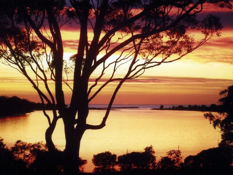 119 The Anchorage, Moruya Heads NSW 2537