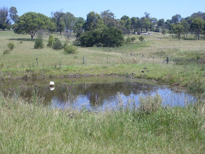 21 Valley View Lane, Moruya NSW 2537