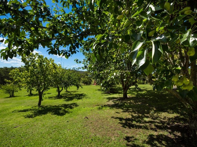 22 Glenduart Grove, Moruya NSW 2537