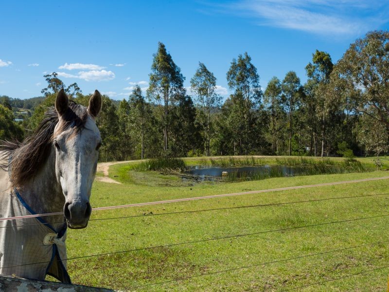 22 Glenduart Grove, Moruya NSW 2537