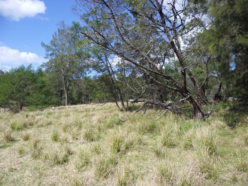 2295 Araluen Road, Moruya NSW 2537