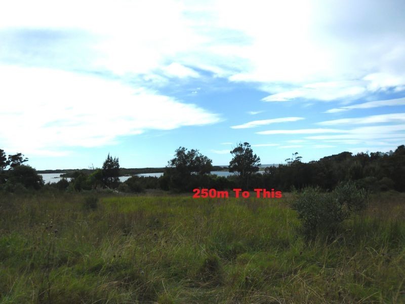 31 Coila Avenue, Tuross Head NSW 2537