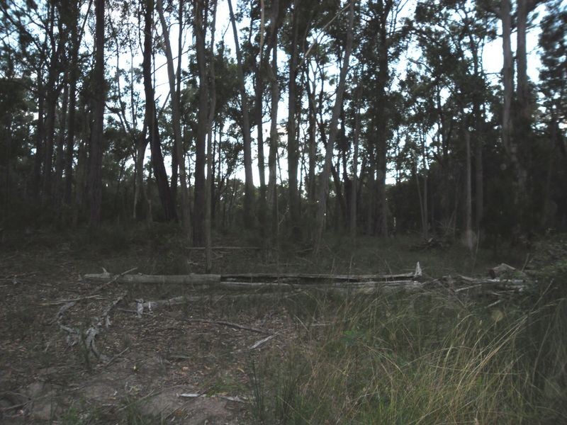 Lot 6/32 Berriman Drive, Congo NSW 2537