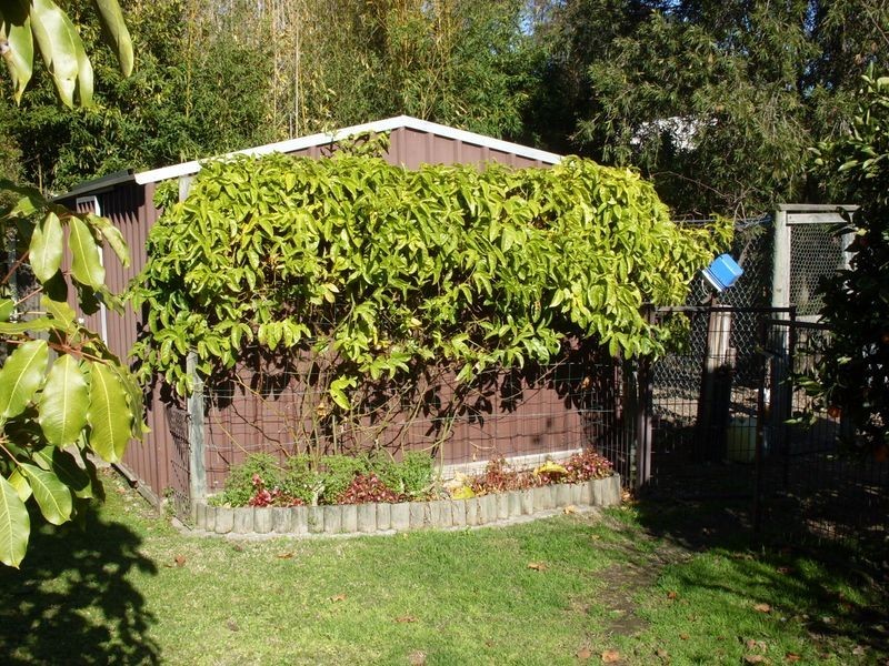 31 Moruya Street & Otton Street, Moruya NSW 2537