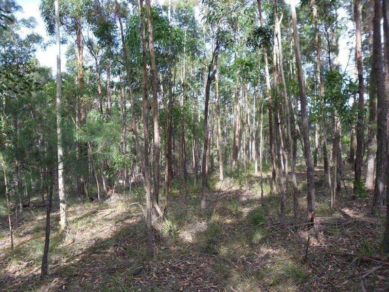 Lot 32 Narambi Close, Moruya NSW 2537