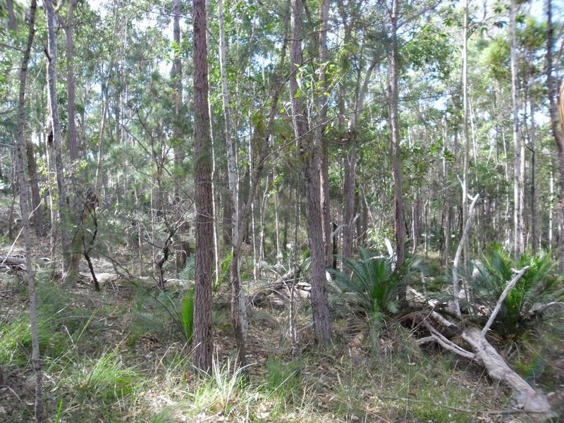 Lot 32 Narambi Close, Moruya NSW 2537