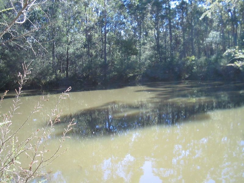 1546 Maulbrooks Road, Moruya NSW 2537