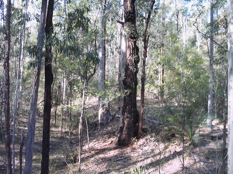 1546 Maulbrooks Road, Moruya NSW 2537