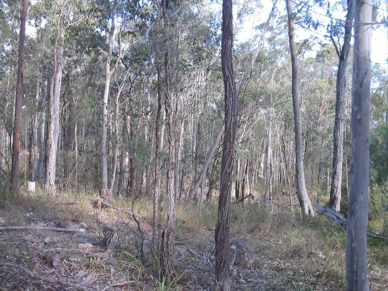 1546 Maulbrooks Road, Moruya NSW 2537