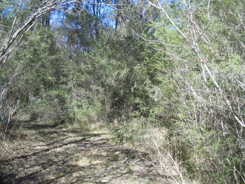 1546 Maulbrooks Road, Moruya NSW 2537