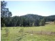 24 Cheese Factory Road, Bodalla NSW 2545