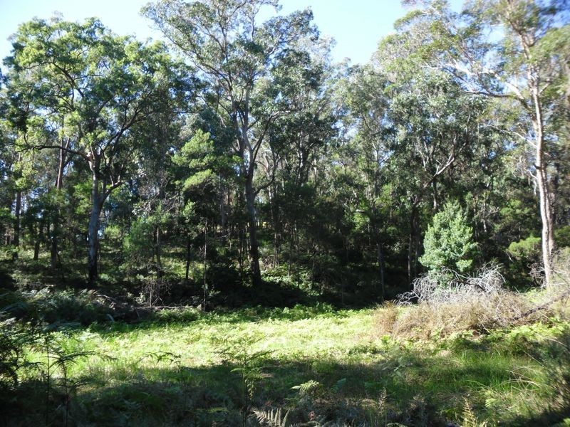 24 Cheese Factory Road, Bodalla NSW 2545