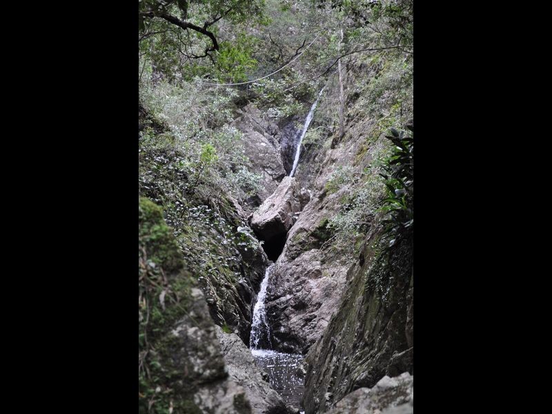 1518 Araluen Road, Moruya NSW 2537