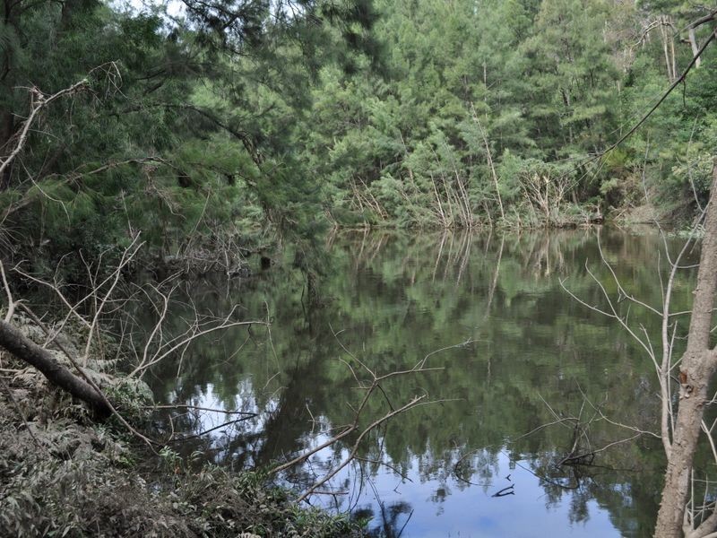 1518 Araluen Road, Moruya NSW 2537