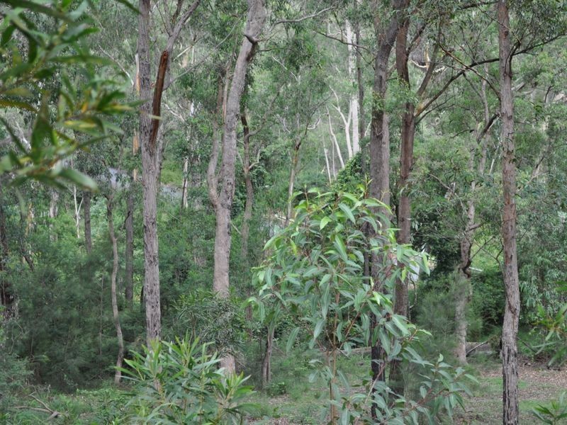 1518 Araluen Road, Moruya NSW 2537