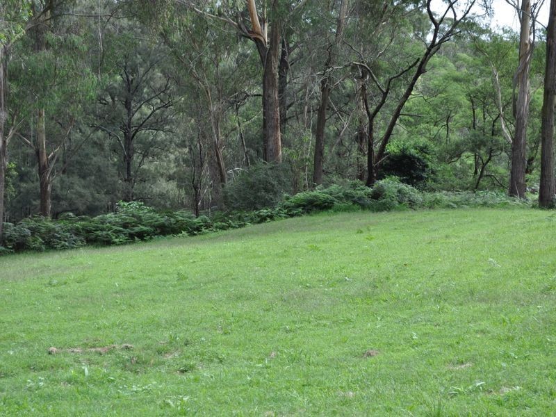 1518 Araluen Road, Moruya NSW 2537