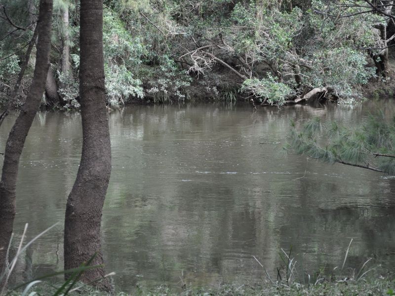 1518 Araluen Road, Moruya NSW 2537