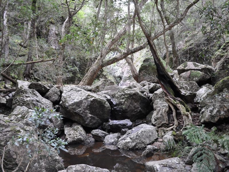 1518 Araluen Road, Moruya NSW 2537