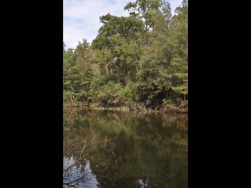 1518 Araluen Road, Moruya NSW 2537