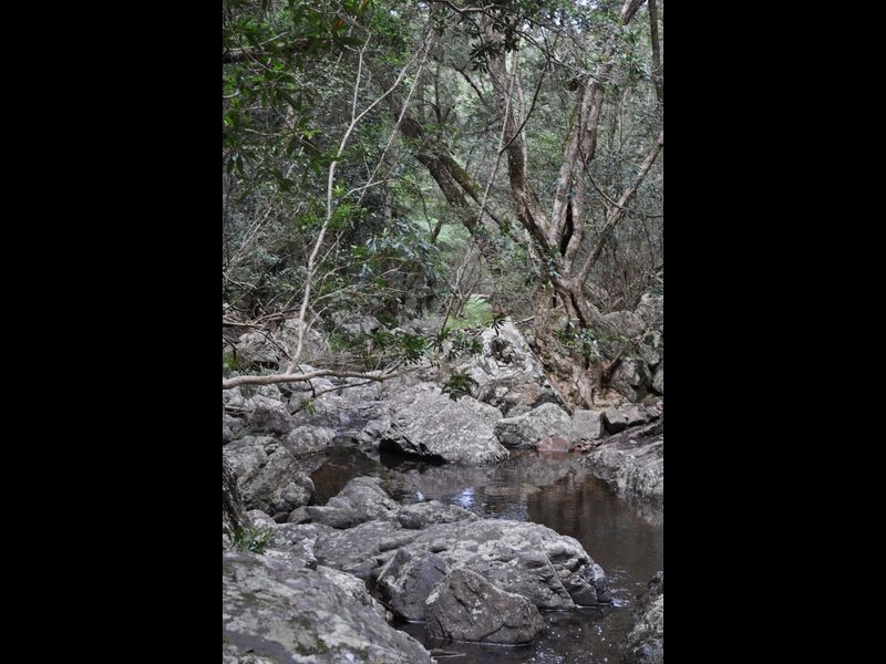 1518 Araluen Road, Moruya NSW 2537