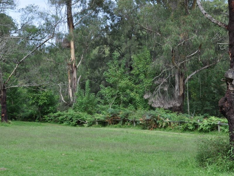 1518 Araluen Road, Moruya NSW 2537