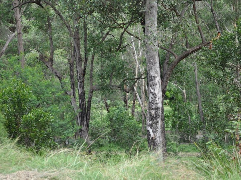 1518 Araluen Road, Moruya NSW 2537