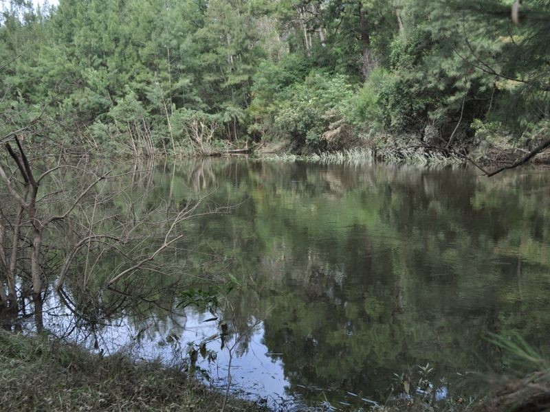 1518 Araluen Road, Moruya NSW 2537