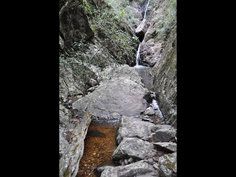 1518 Araluen Road, Moruya NSW 2537