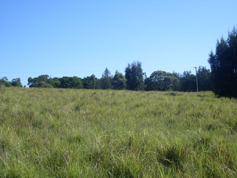 Lot 19 Arinya Place, Bingie NSW 2537