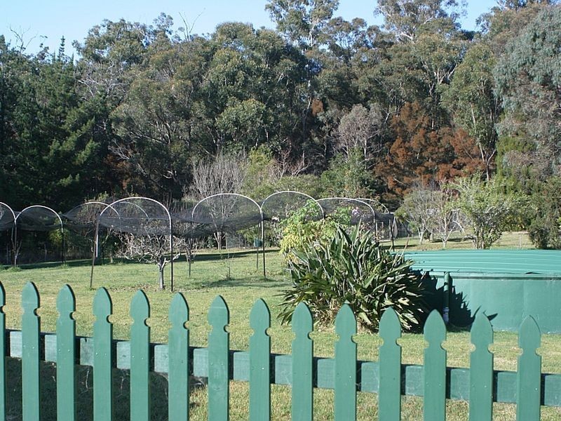 1253 Congo Road, Meringo NSW 2537