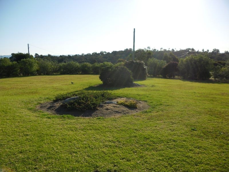 31 Donnellys Ridge Road, Moruya NSW 2537