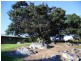 31 Donnellys Ridge Road, Moruya NSW 2537