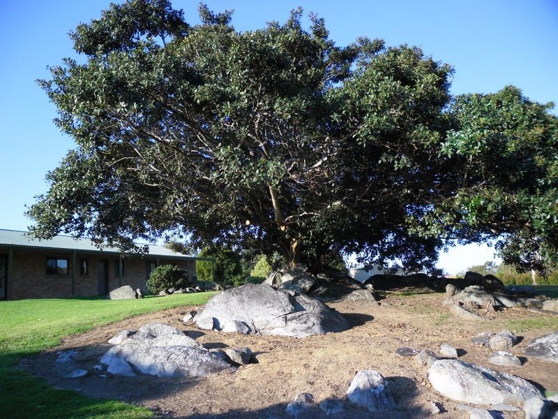 31 Donnellys Ridge Road, Moruya NSW 2537