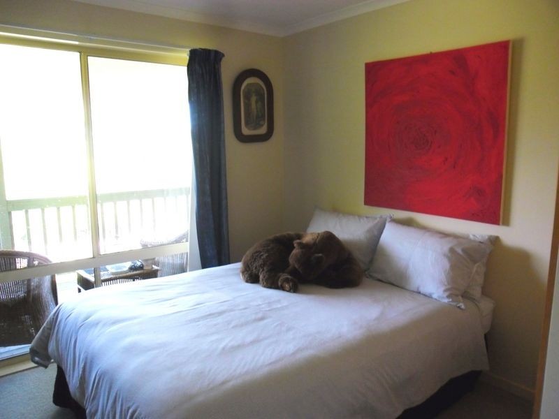 57 Donnellys Ridge Road, Moruya NSW 2537