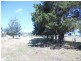 53 Dwyers Creek Road, Moruya NSW 2537