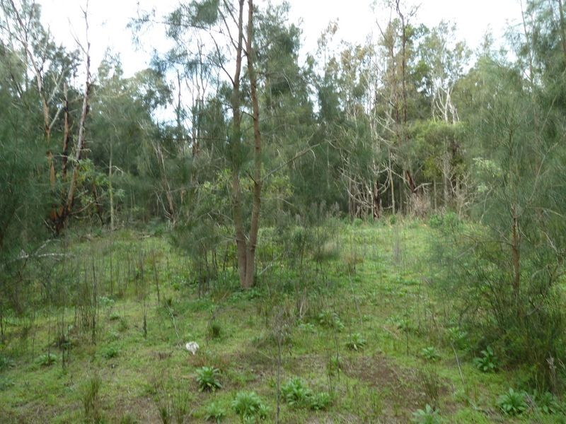 200 Malabar Drive, Moruya NSW 2537