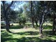 14a Native Way, Moruya Heads NSW 2537