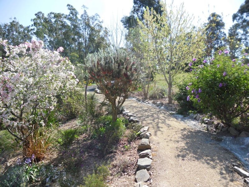 84 Turnbulls Lane, Moruya NSW 2537