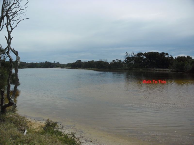 2 Hicken Street, Congo NSW 2537