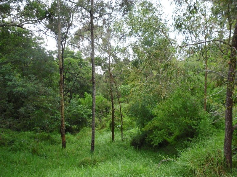 86 Turnbulls Lane, Moruya NSW 2537