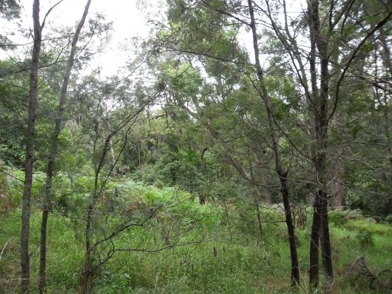 86 Turnbulls Lane, Moruya NSW 2537
