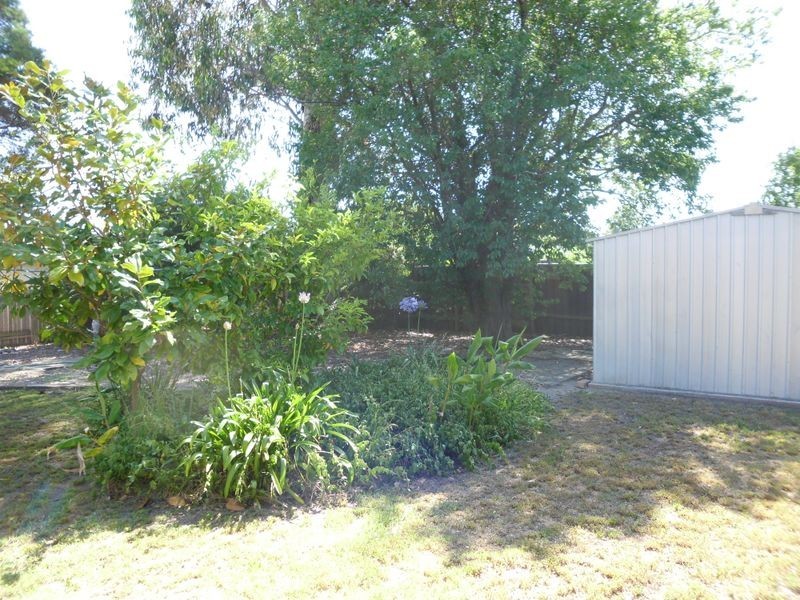 34 Moruya Street, Moruya NSW 2537