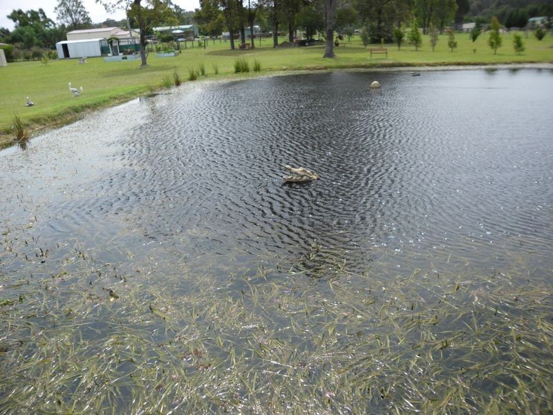 15A Glenduart Grove, Moruya NSW 2537