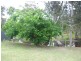 5 Native Way, Moruya Heads NSW 2537
