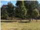 64 Western Boundary Road TURLINJAH, Moruya NSW 2537