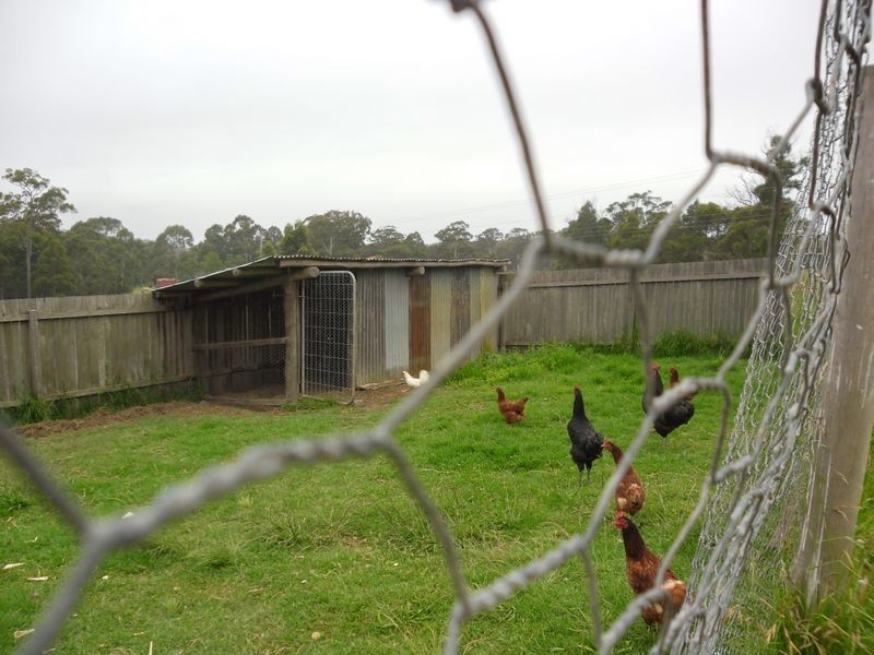64 Western Boundary Road TURLINJAH, Moruya NSW 2537